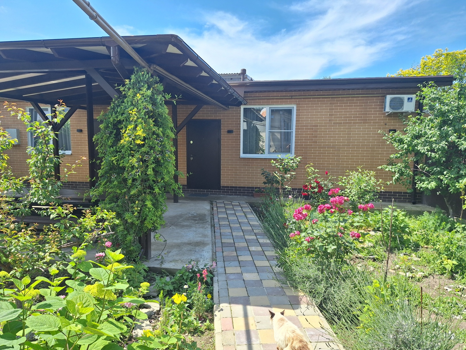 Студия Премиум Люкс с двором